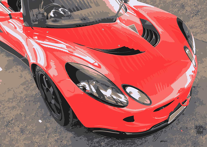 Lotus - Red