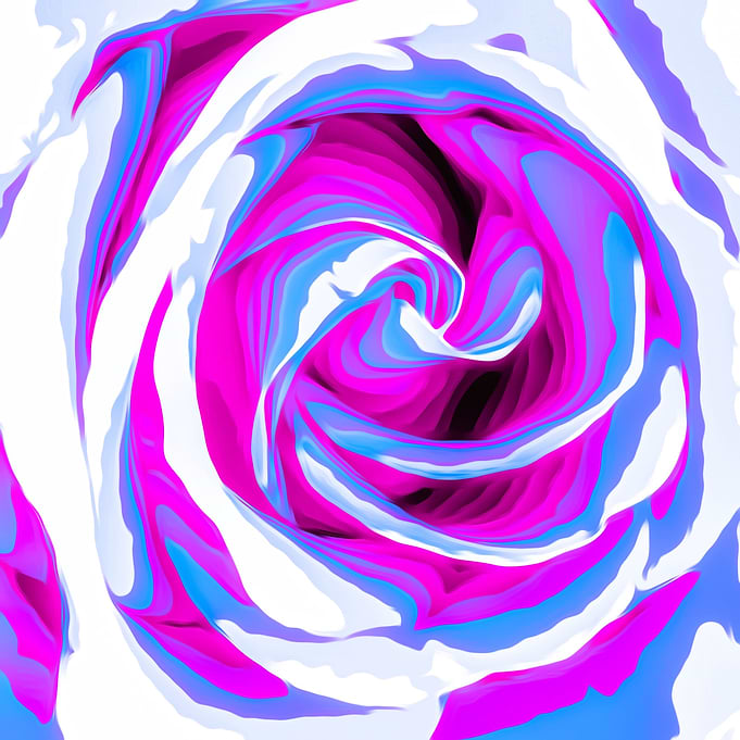 pink rose texture abstract background