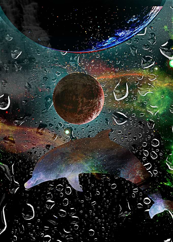 dolphin space