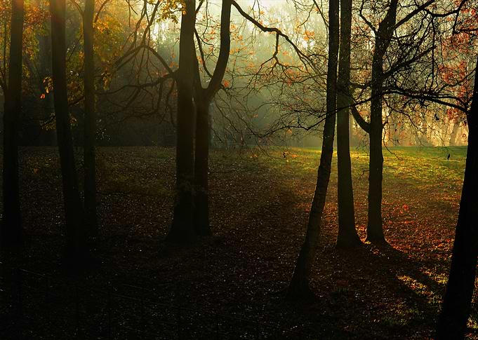 Hampstead in london uk