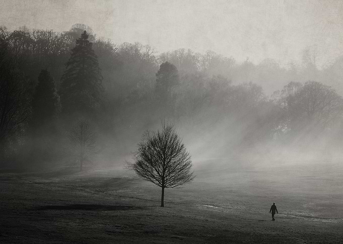The Walk