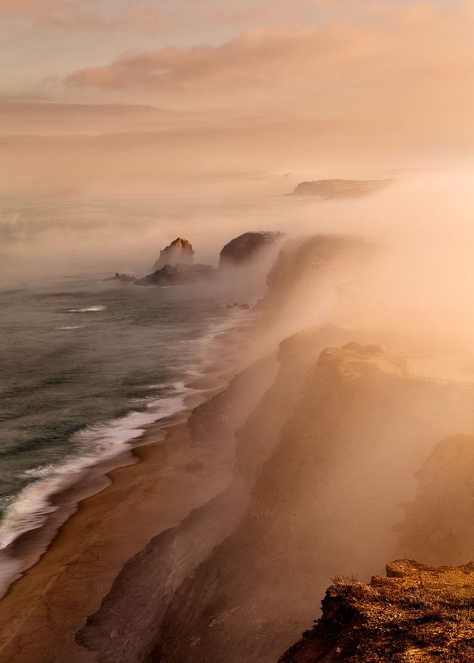 The fog