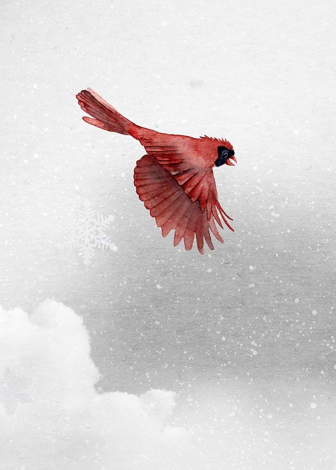 Winter Flight