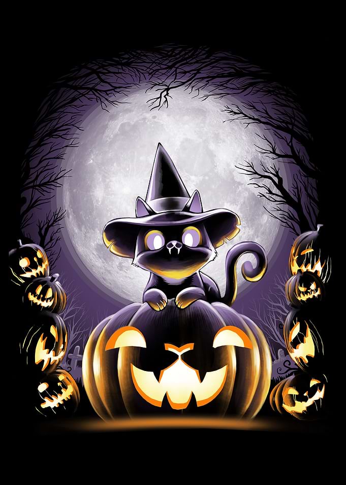 Witch-Cat Night