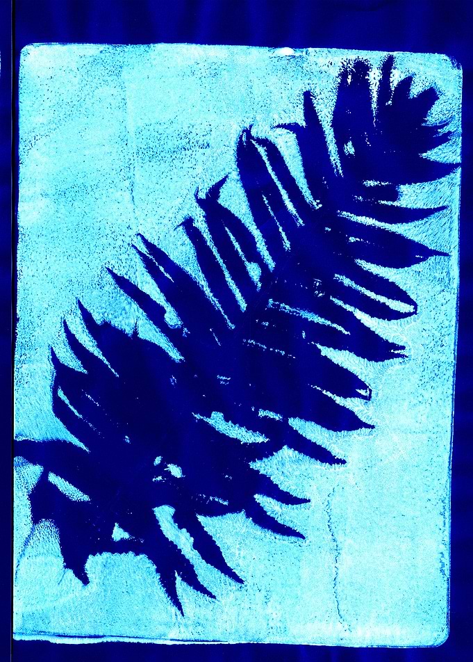 leaf print