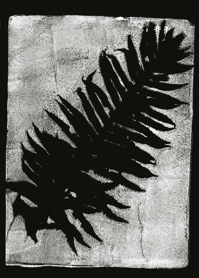 leaf print