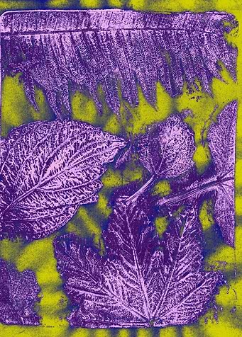 leaf print