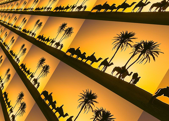 Desert perspective