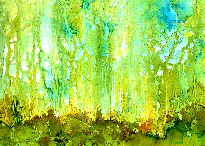 Forest Glow