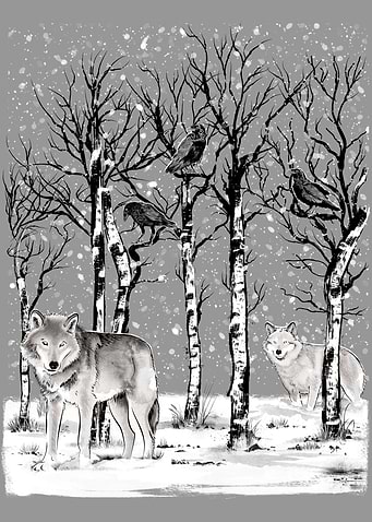 Winter in the Forest