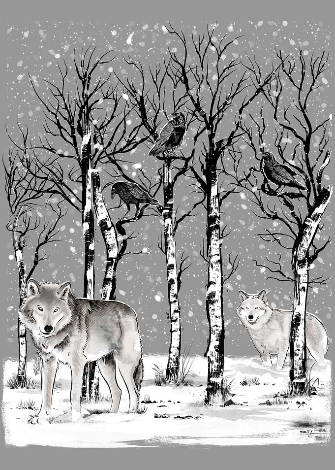 Winter in the Forest