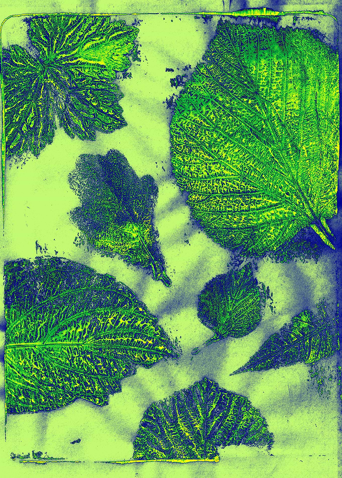 leaf print