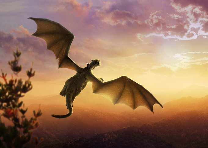 Imaginary Dragon