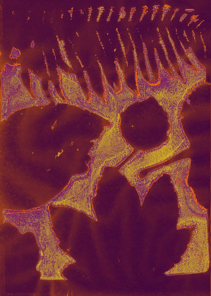 leaf print