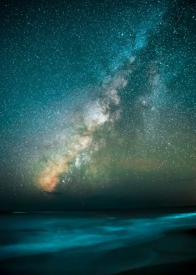 The Stars Above