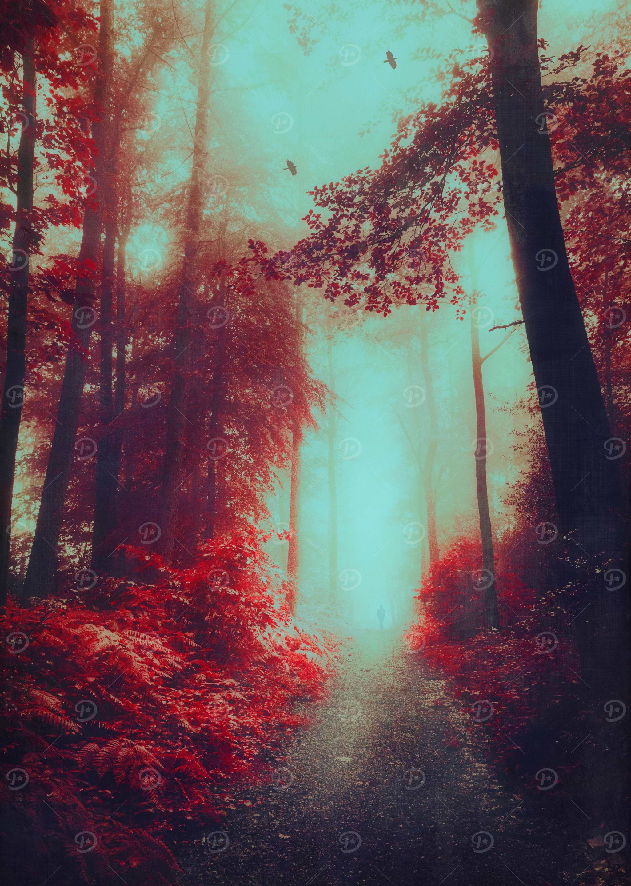 lost here
