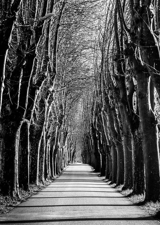 Infinity road