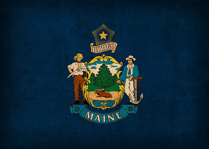 Maine State Flag on Distressed Canvas