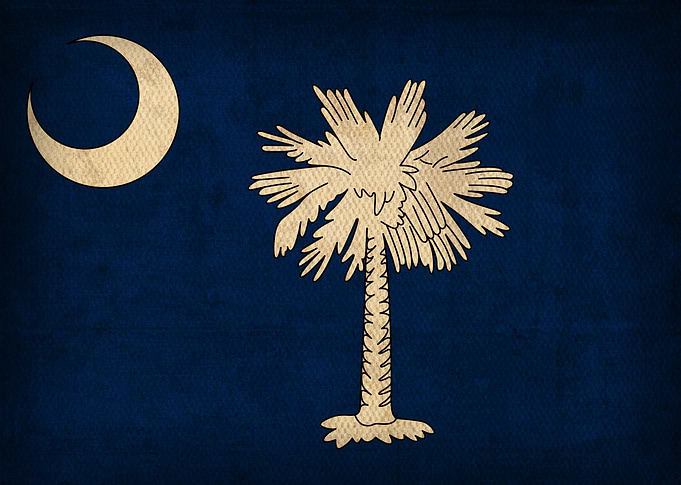 South Carolina State Flag on Distressed Canvas