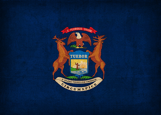 Michigan State Flag on Distressed Canvas
