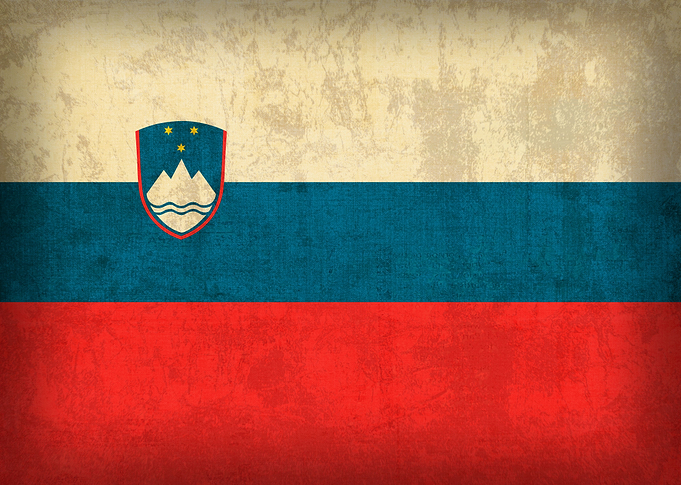 Slovenia Country Flag on Distressed Canvas