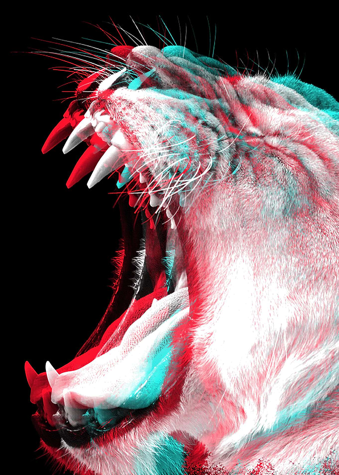 Tiger Delusions