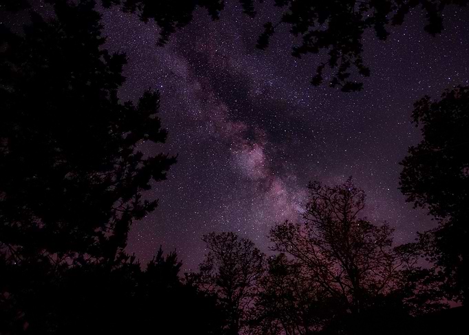 Star gaze