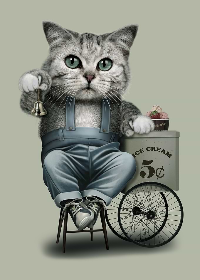 ICE CREAM SELLER