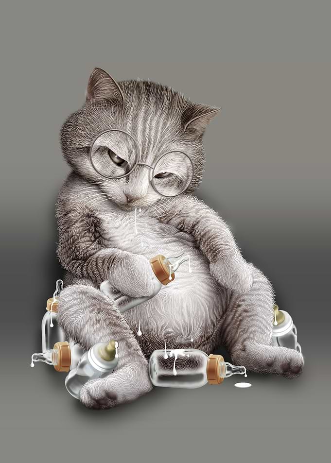 GREEDY CAT