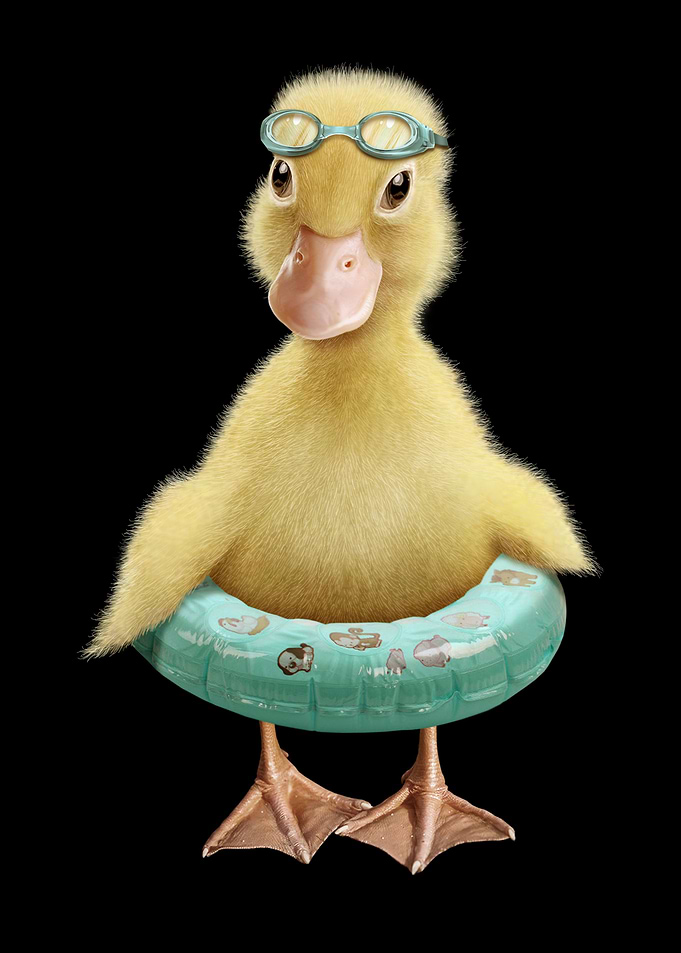 DUCK