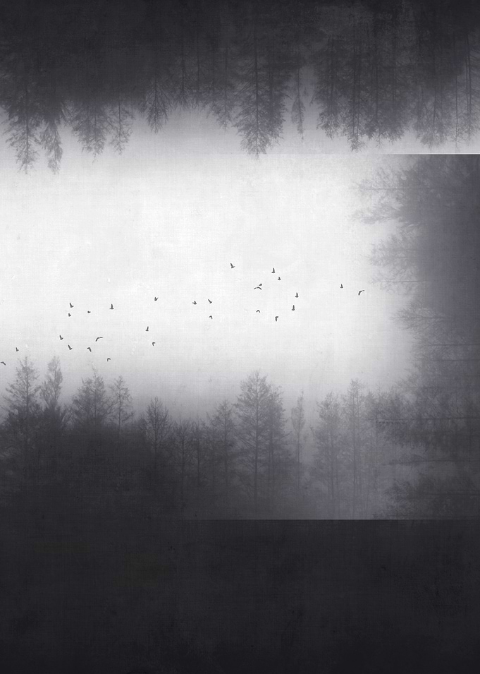 Black Box
