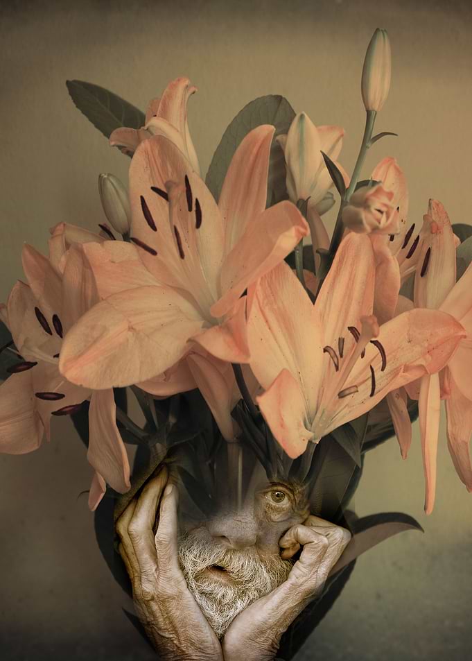 The face of flowers