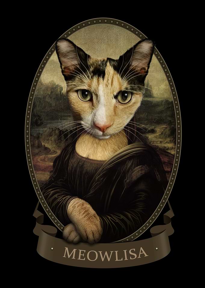 MEOWLISA