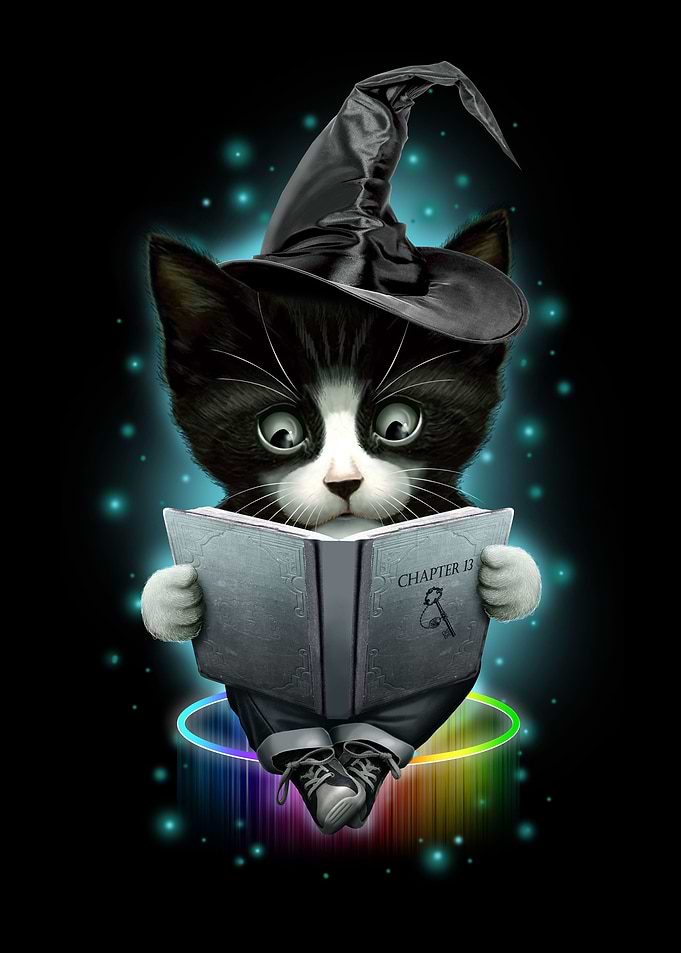 THE MAGICIAN