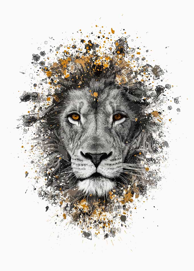 Lion with orange eyes