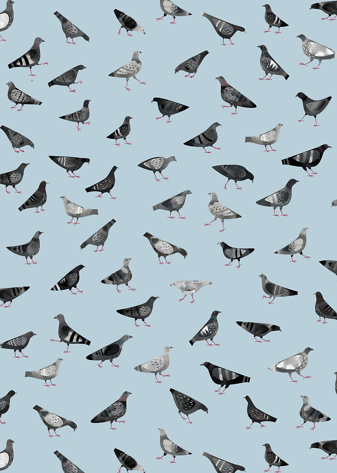 Pigeons Doing Pigeon Thing
