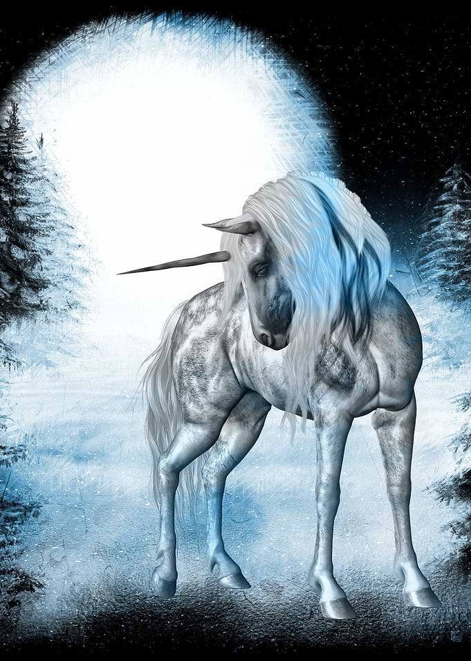 Winter Dreams