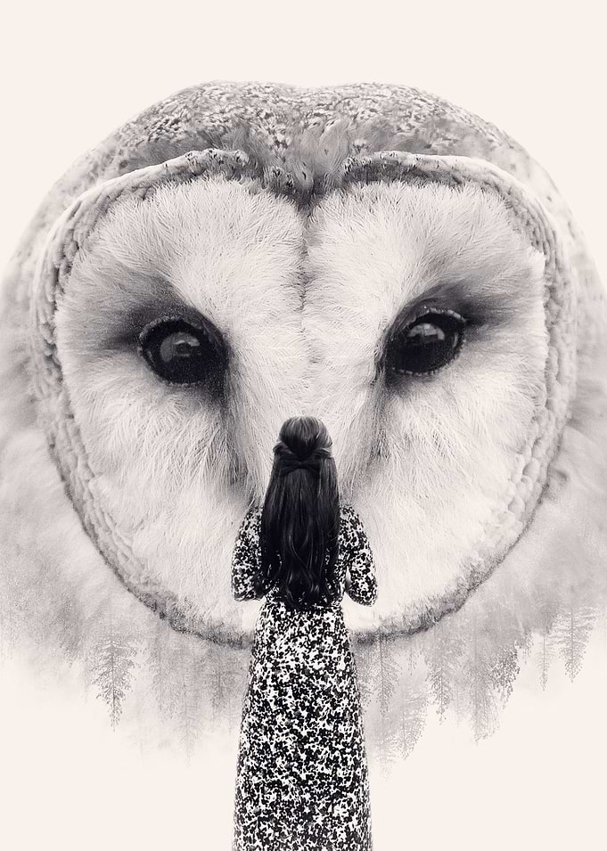 My Nocturnal Friend