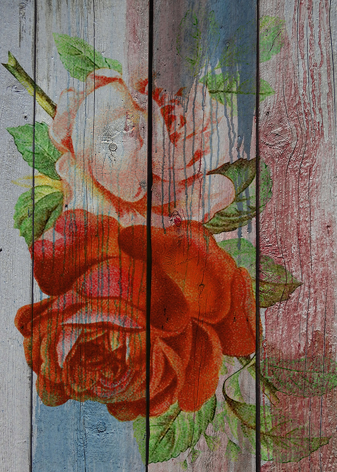 Roses on wood
