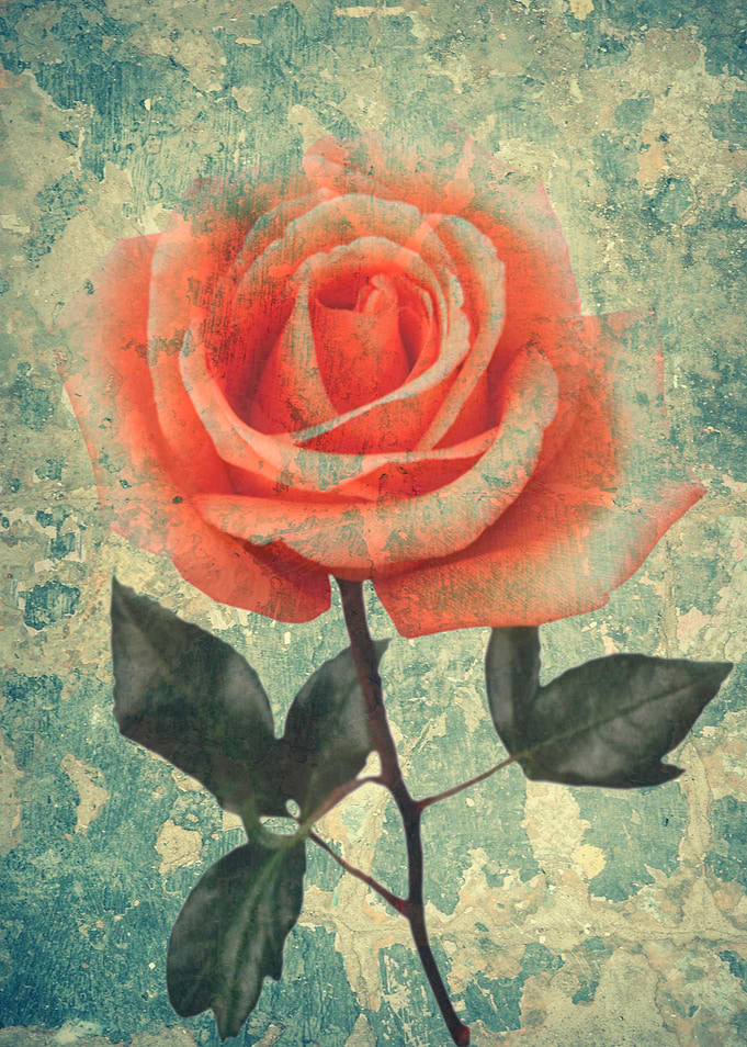 Vintage rose