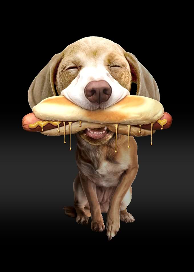 HOTDOG