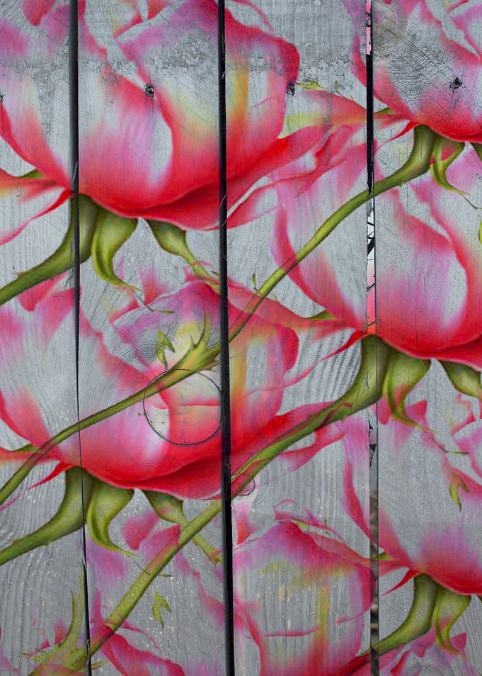 Floral background