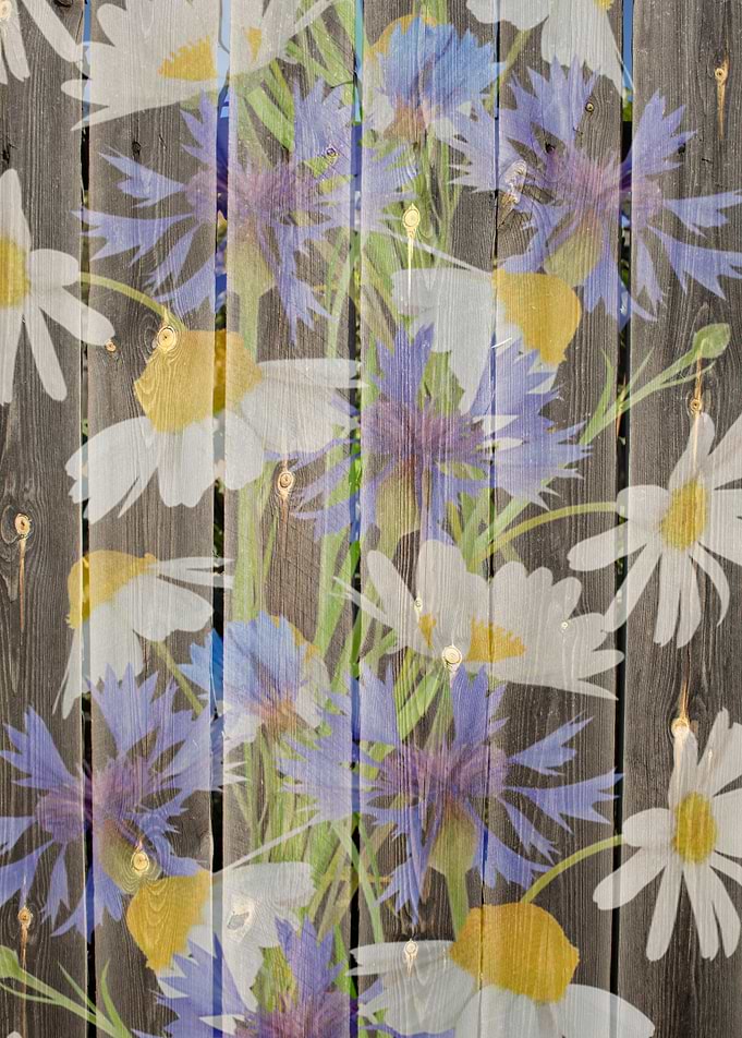 Flowers on wood backgroun