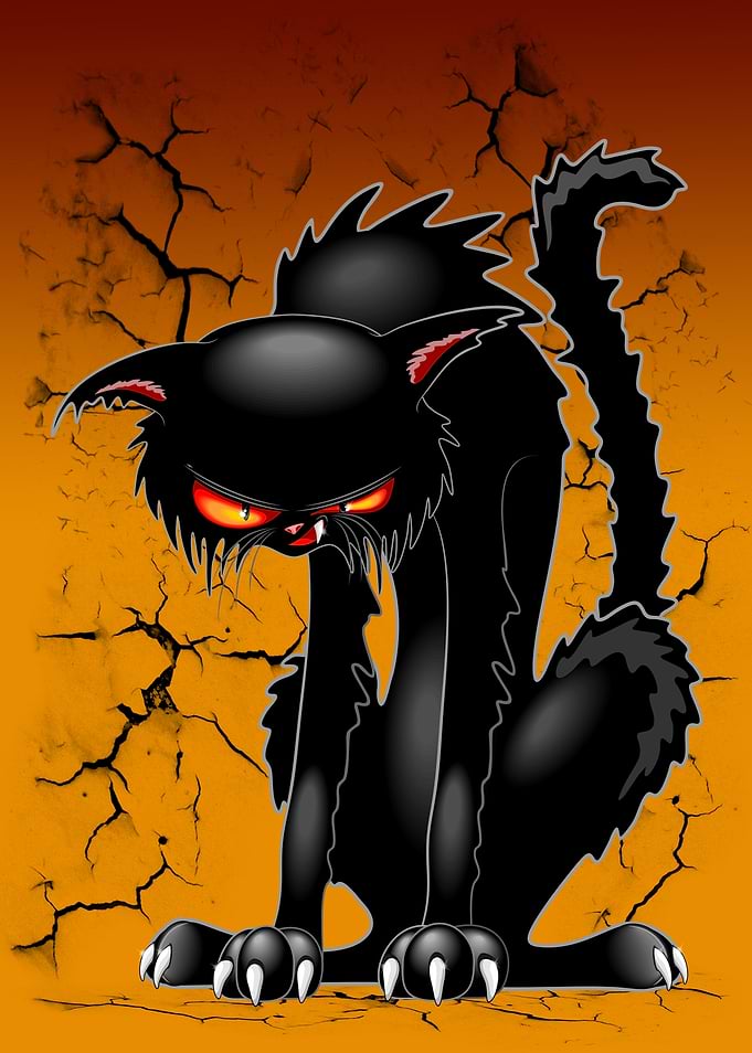 Black Cat Evil Angry Funny Character