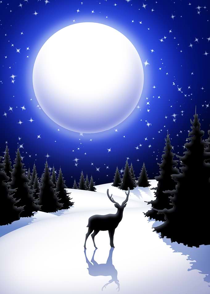 Lonely Deer on Snowy Silent Night Mountains
