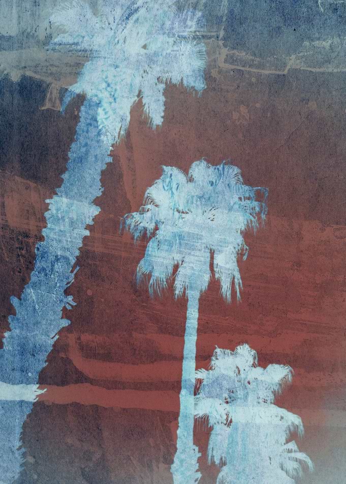 Palm in Sorrento