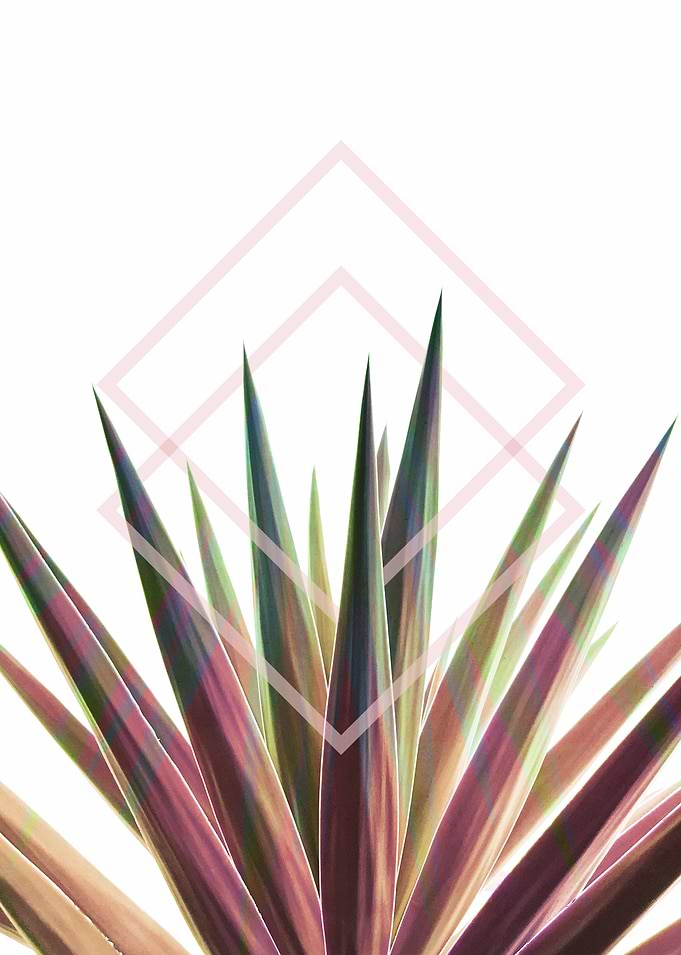 Tropical Desire