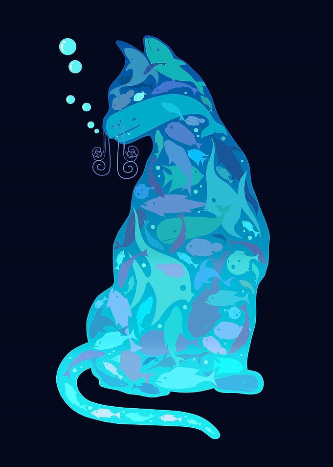 SWIM IN THE CAT