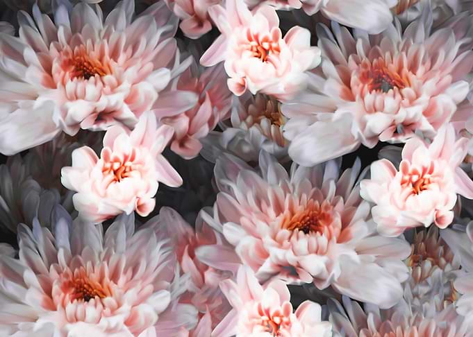 Botanic Flower Painting