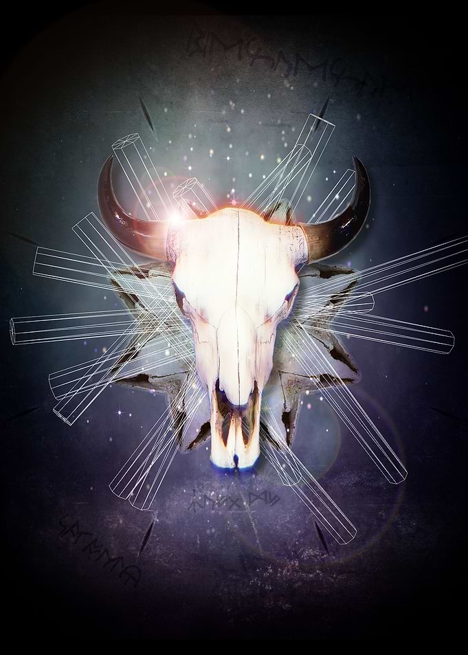 Skull°d